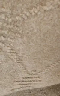 دو عدد موکت از همین عکس