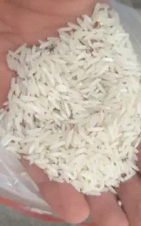 خریدار جوب پرمحصول و مختار