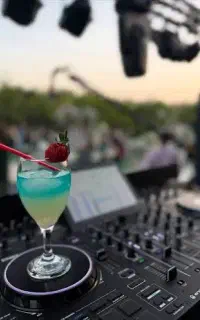 گروه موسیقی ارکستر و دی جی اینگ خانم و آقا