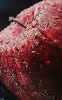آموزش طراحی و نقاشی مبتدی تا پیشرفته