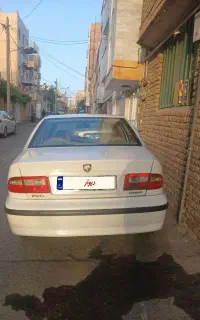 سمند سفید