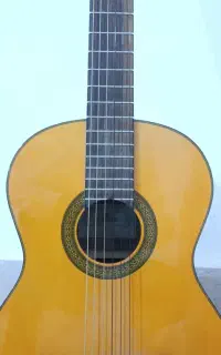 گیتار آریا ak30