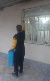 سمپاشی سوسک سم پاشی موریانه