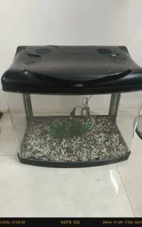 آکواریوم