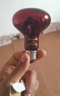 لامپ مادون قرمز حرارتی