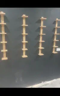 جاکفشی