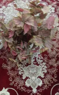گل مصنوعی با قیمت مناسب