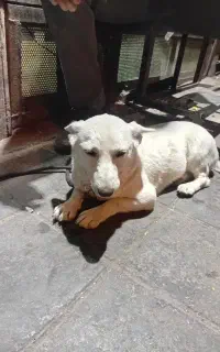 شرایط جا ندارم