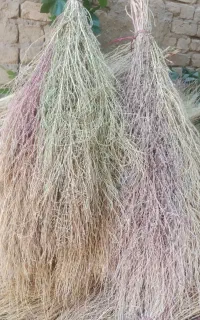 جارو محلی