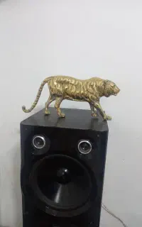 ببر برنز