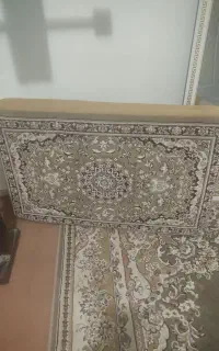 یک جفت پشتی سالم