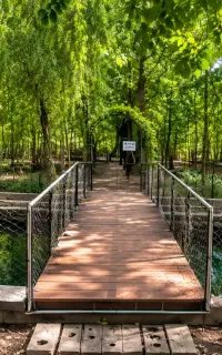 برای آیندت یک جای سبز کنار بذار