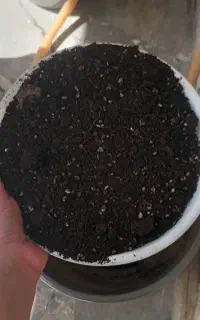 خاک گل