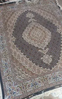 جفت شش متری ماهی