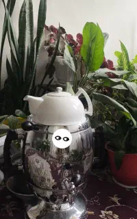سماور و قوری نو