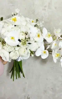 سالن و تالارنامزدی سفره نامزدی و عقد دسته گل