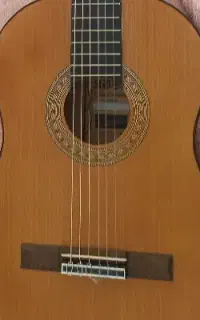 گیتار نو