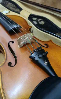 ویولن TF coreli