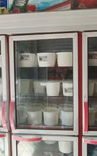 فروشنده آقا جهت شیر ماست محلی