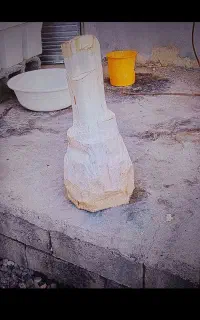 کار با اره موتوری قطع مغ یا نخل