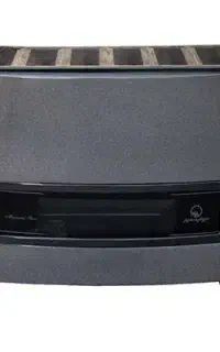 بخاری بزرگ