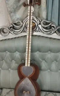 تار حرفه ای معصومی