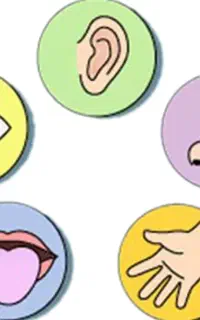 تدریس خصوصی