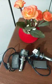 لامپ زنون دو فیش