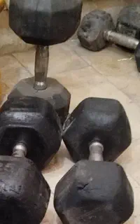 دمبل
