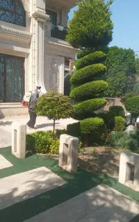 سم پاشی باغ بانی هرس بیل زدن کودهی خدمات باغبانی