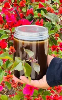 معجون/بلغم/کبد چرب/مشکلات جنسی