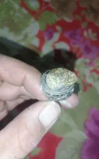 سنگ شجر اکتشافی