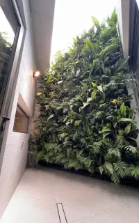 نیروی فنی
