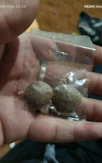 سنگ هبهاب