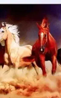 پازل هزارتیکه