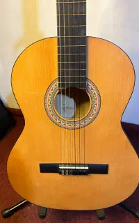 گیتار پارسی