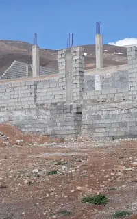 نیروی کار
