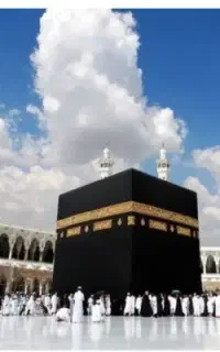 فیش حج عمره 519