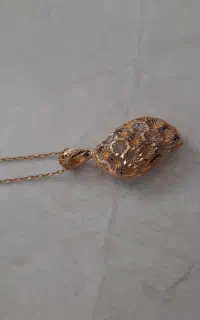 زنجیرپلاک وگوشواره