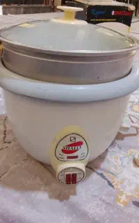 پلوپزشالی نو