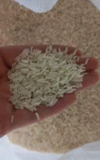 فروش برنج اصیل ایرانی گیلان