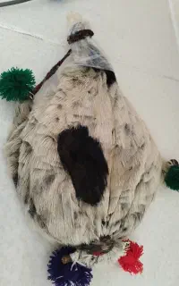هیزه یا همون خیگ