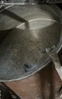 قزون