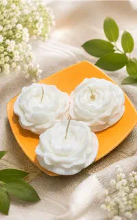 شمع گل رز سفید