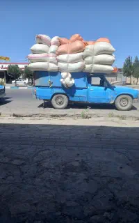 فروش وخریدار کاه گندم