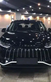 تیگارد تی سان tigard tissan s05