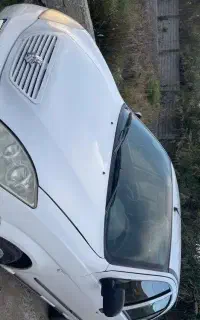 تیبا ۹۷ بی رنگ تک برگ سند