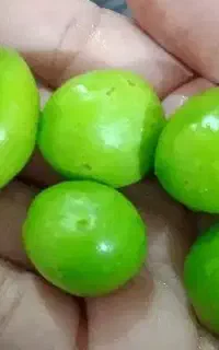 آلوچه ی محلی خوشمزه