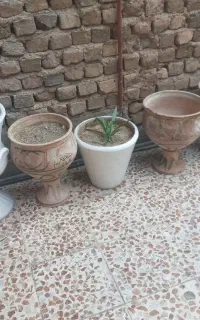 گلدان