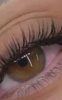 مژه